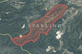 ZEMLJIŠTE, PRODAJA, OKOLICA NAŠICA, 41.800,29 M2, 41800 , Donja Motičina