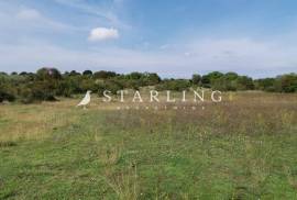 PRODAJA, GRAĐEVINSKO ZEMLJIŠTE, VODNJAN, BUTKOVIĆI, 630 , Svetvinčenat