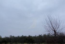 POLJOPRIVREDNO ZEMLJIŠTE, PRODAJA, BARBARIGA 14.000 M2, 14000 , Vodnjan