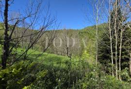 , , Prodaja