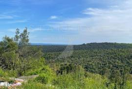 ZEMLJIŠTE, PRODAJA, 2 HA, VODNJAN, 20000 , Vodnjan