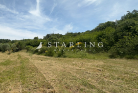 PRODAJA, POLJOPRIVREDNO ZEMLJIŠTE, 4600 M2, OKOLICA ROVINJA, 4600 , Rovinj