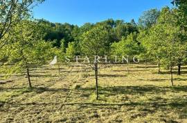 GRAĐEVINSKO ZEMLJIŠTE, PRODAJA, PETRINJA, NEBOJAN, 17.895 m2, 17985 , Petrinja