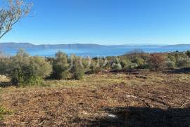 , , Prodaja
