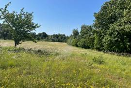 PRODAJA, POLJOPRIVREDNO ZEMLJIŠTE, PEROJ 2.300 M2, 2300 , Vodnjan