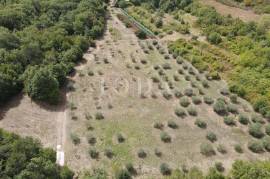 Poljoprivredno zemljište 27.800 m² sa starinom - Labin, 27800 , Labin