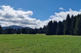 Ravna Gora, šuma i poljoprivredno zemljište, 13.494 m2, 13494 , Ravna Gora