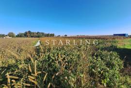 GRAĐEVINSKO/POLJOPRIVREDNO ZEMLJIŠTE, PRODAJA, DONJA GREDA, 5.907 m2, 5907 , Rugvica