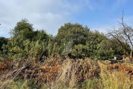 POLJOPRIVREDNO ZEMLJIŠTE, PRODAJA, VODNJAN, 8.270 M2, 8270 , Vodnjan