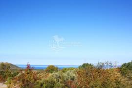 , , Prodaja