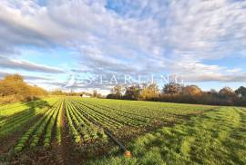 ZEMLJIŠTE, PRODAJA, VELIKA GORICA, LAZINA ČIČKA, 17.602 m2, 17602 , Velika Gorica