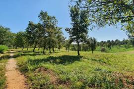 Lijepo građevinsko zemljište, parcelirano, Vižinada okolica, 7600 , Poreč